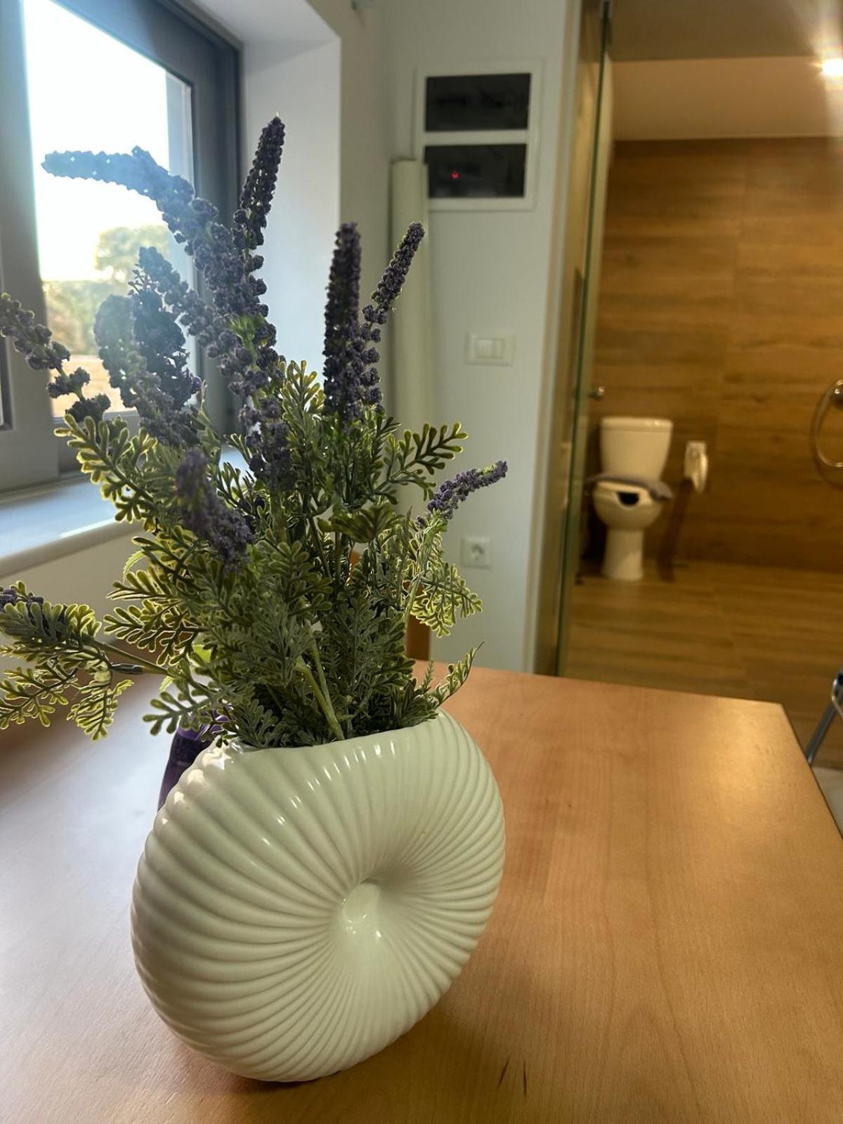 Nektar Beach Hotel Stalós Zewnętrze zdjęcie